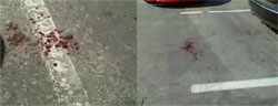 Patriot Blood