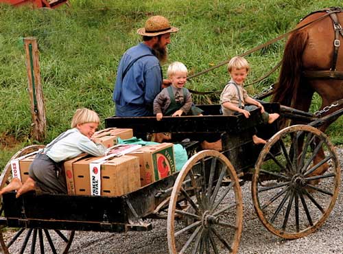 amish-kids.jpg