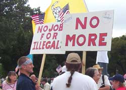 no-jobs-illegals-250.jpg