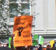 Californias Crusaders Pomona Napolitano Protest