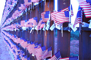 Border Fence Flags